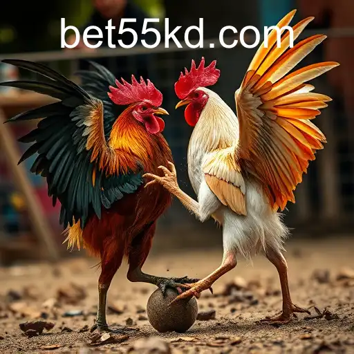 Security and Trust 55kd PH Login - International Licenses and Certifications